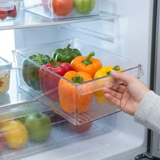 ارگانایزر آشپزخانه لیمون مدل 5L 103116309